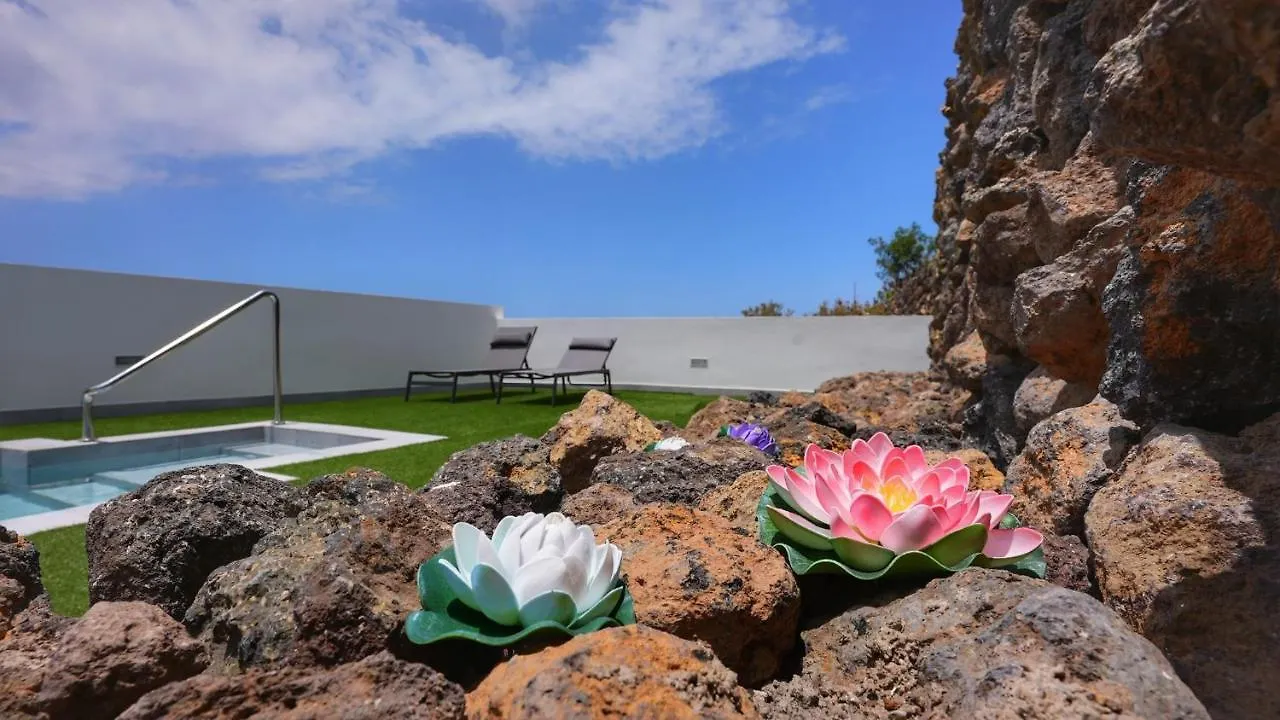 Mireya Home Icod De Los Vinos Villa